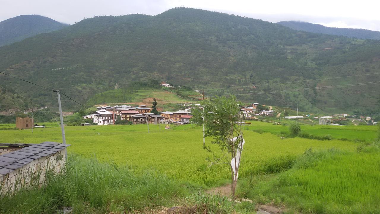 Chimi Lhakhang Village Homestay Punakha Buitenkant foto