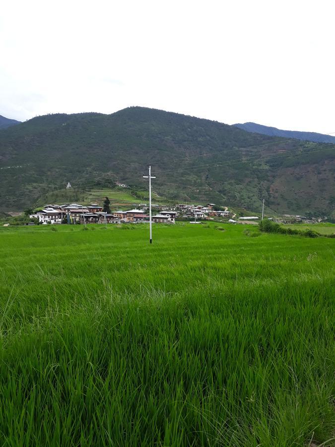 Chimi Lhakhang Village Homestay Punakha Buitenkant foto